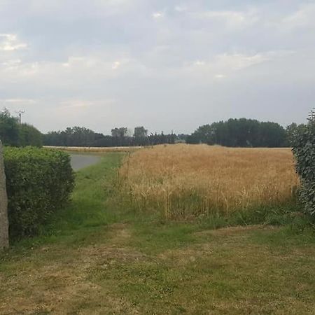 Gite 3 Places Au Coeur Du Tregor Langoat Exteriör bild