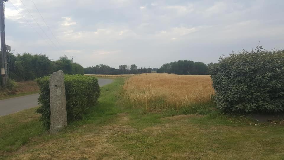 Gite 3 Places Au Coeur Du Tregor Langoat Exteriör bild